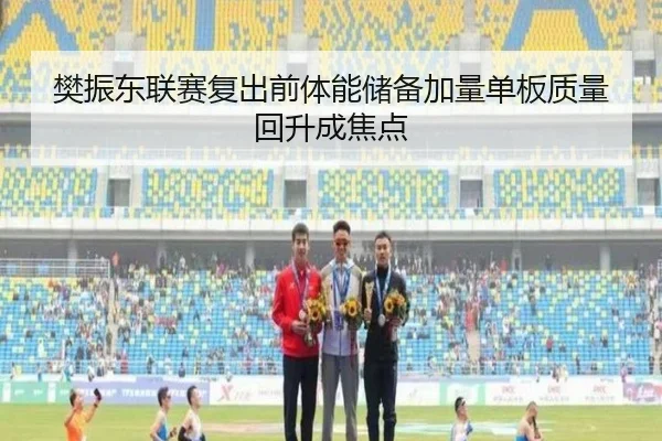 樊振东联赛复出前体能储备加量单板质量回升成焦点